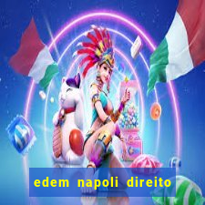 edem napoli direito constitucional pdf